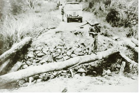 60th Anniversary Of The Niemba Ambush Post 29 Carlow
