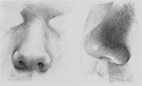 How To Draw Noses — Online Art Lessons