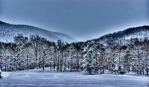 Hdr Snow Trees Photograph By Jonny D Fine Art America