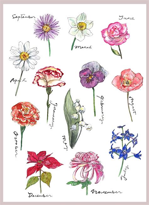 Clip Art Watercolor Birth Flower And Months Name Lettering Etsy Uk