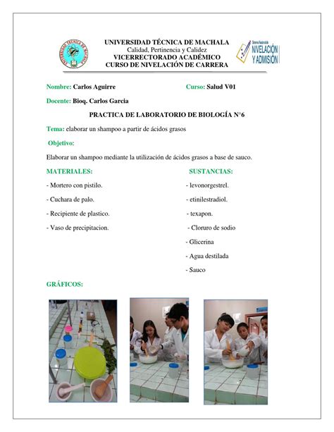 Informe De Practicas De Laboratorio 6 Y 7 By Carlos Aguirre Issuu