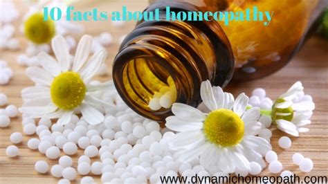 10 Facts You Need To Know About Homeopathy