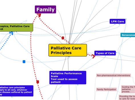 Palliative Care Principles Mind Map