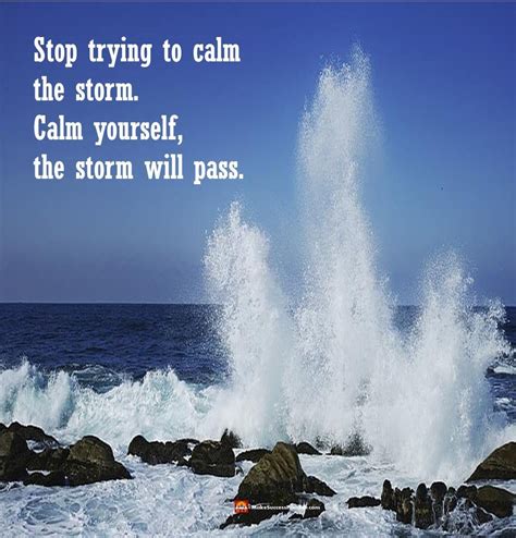You Cant Calm The Storm So Stop Trying What You Can Do Is Calm Yourself The Storm Will Pass