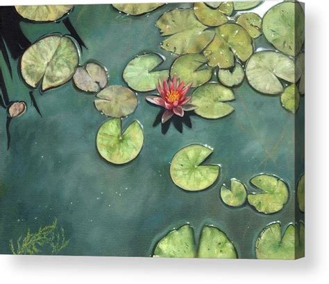 Lily Pond Acrylic Print By David Stribbling Pond Painting Lily Pond