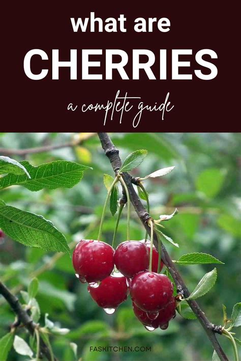 Cherries 101 Nutrition Benefits How To Use Buy Store Cherries A Complete Guide Fas Kitchen