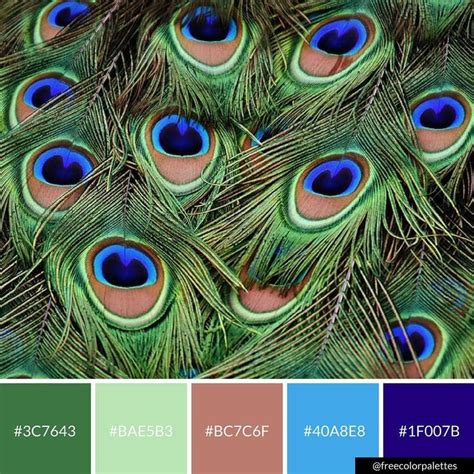 Peacock Feathers Color Palette Inspiration Great For Digital Art And