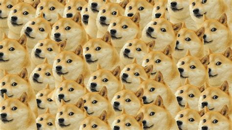Doge Meme Wallpaperhd Others Wallpapers4k Wallpapersimages