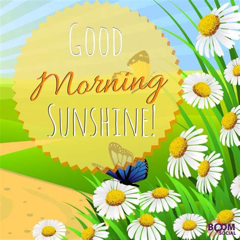 Good Morning Sunshine Pictures Photos And Images For Facebook Tumblr Pinterest And Twitter