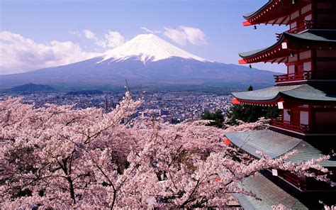 Fondos De Pantalla Japón Flor De Cerezo Monte Fuji 1920x1200