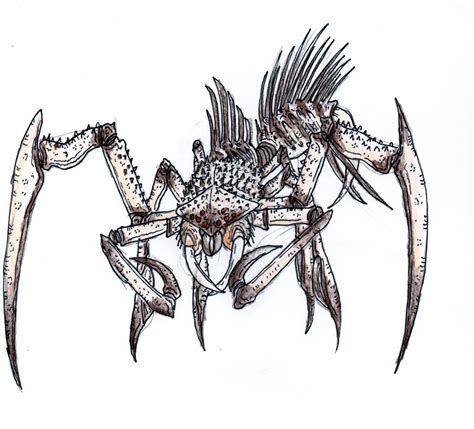 Cave Spider By Sylizar On Deviantart
