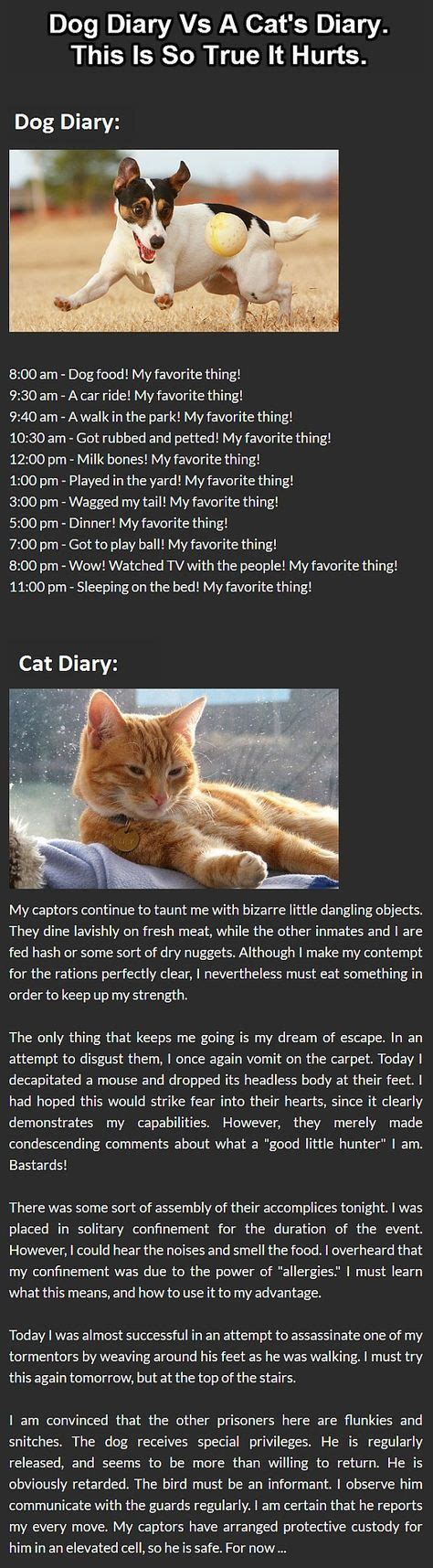 Cats Vs Dogs This Is The Best Diary Comparison Ever Cats Vs Dogs