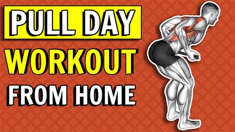 Back And Bicep Workout At Home No Equipment