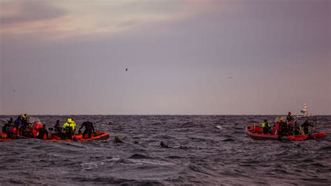 Killer Whale Orca Safari In Lofoten And Andenes In Norway Photographer