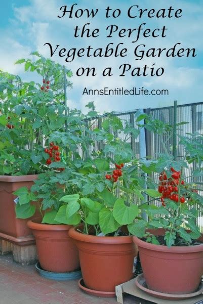Maybe you would like to learn more about one of these? How to Create the Perfect Vegetable Garden on a Patio - Dan330