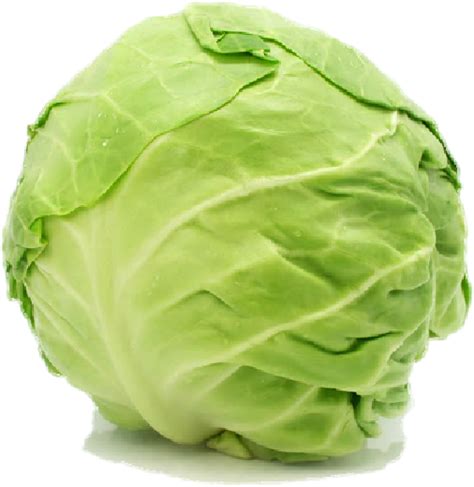 Free Cabbage Png Transparent Images Download Free Cabbage Png