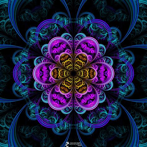 Blooming Fractal Flower By James Alan Smith James Alan Smith