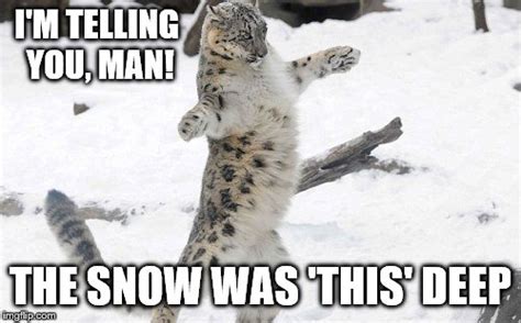 Snow Storm Funny Snow Memes