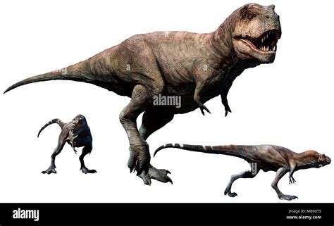 Tyrannosaurus Rex With Young Stock Photo Alamy