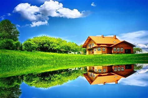«#green #cool #nature #flower #aesthetic». Nature Backgrounds, HD Wallpapers, Windows, Flower Images ...