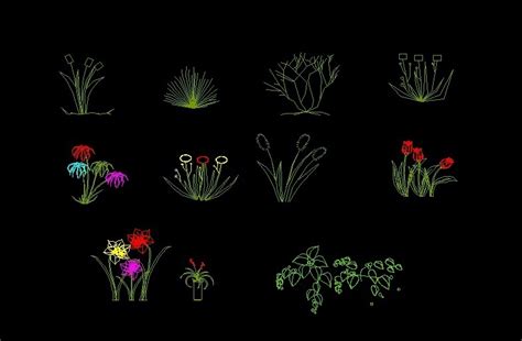 Flower Bunch Plants Front View Elevation And Top View 2d Dwg Block For