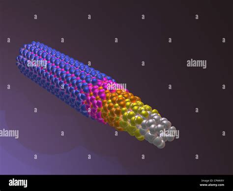Carbon Nanotube Molecular Model Stock Photo Alamy