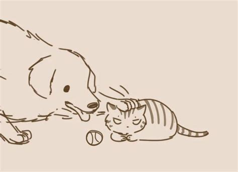 Spring is in the air! Cat Comic With Unexpected Ending Shows The Other Side Of ...