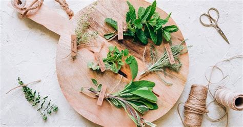 Best Herb For Fighting Inflammation Mindbodygreen