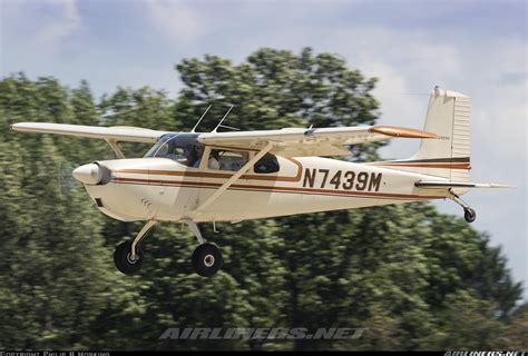 Cessna 175 Skylark Untitled Aviation Photo 6993019