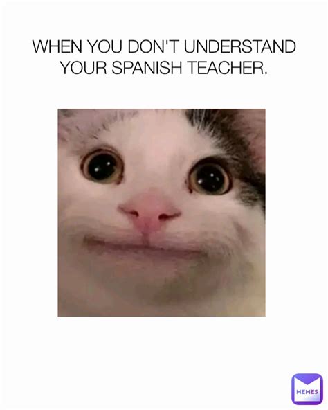 when you don t understand your spanish teacher ankilio memes