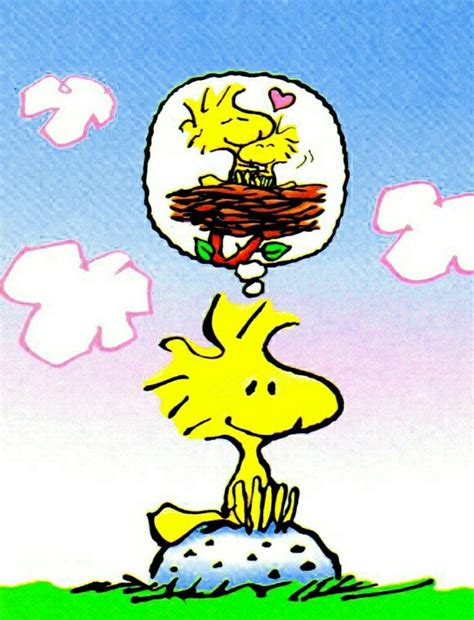 See more ideas about woodstock, snoopy and woodstock, snoopy love. 1046 best Snoopy & Woodstock Show images on Pinterest