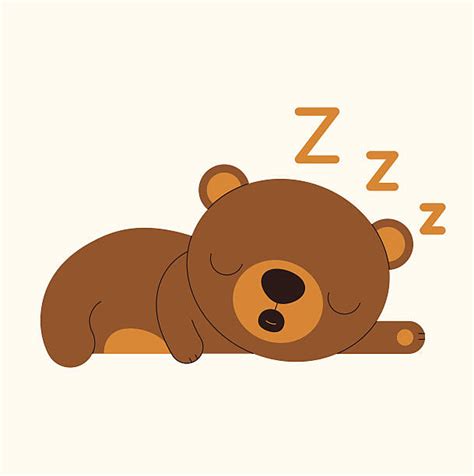Best Sleeping Bear Illustrations Royalty Free Vector Graphics And Clip