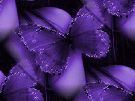 Purple Butterfly Backgrounds Wallpapersafari
