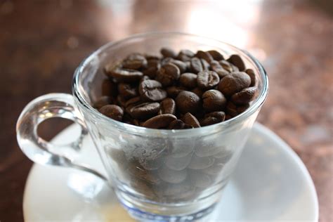 Coffee Brands Offered Espresso Brands Coffee Distributor Cbc