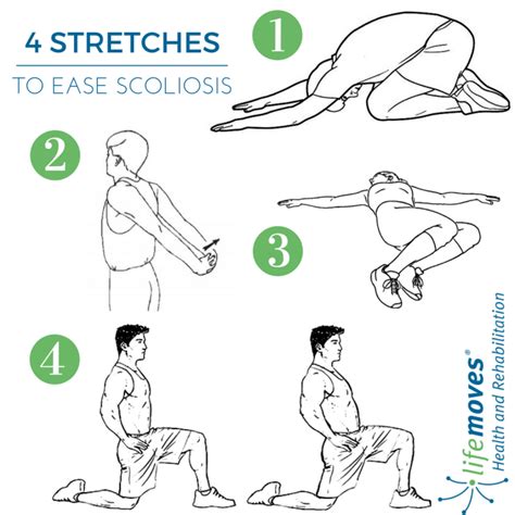 Top Scoliosis Stretches And Exercises To Maintain Mobility Lifemoves