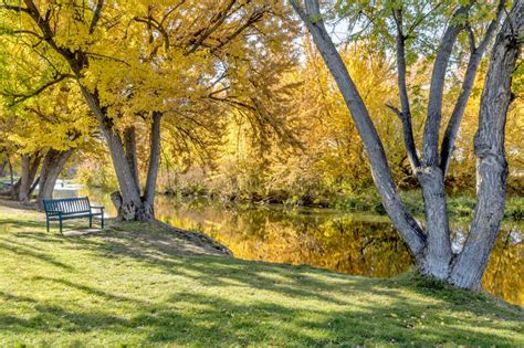 Average labor costs to remove a medium tree in boise, idaho. Park Bench Along The Boise River In Idaho Autumn Stock ...