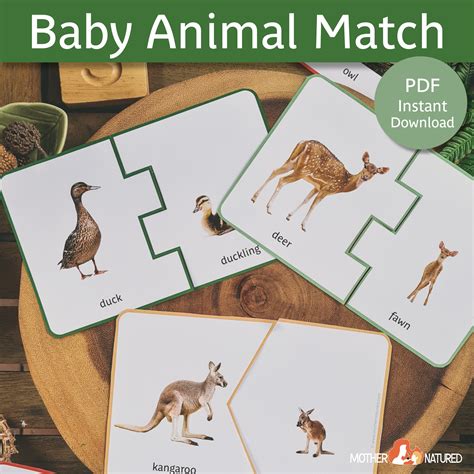 Baby Animal Match Cards Adult And Baby Animal Matching Cards Printable