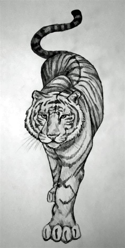 Prowling Tiger Drawing Peepsburgh Com