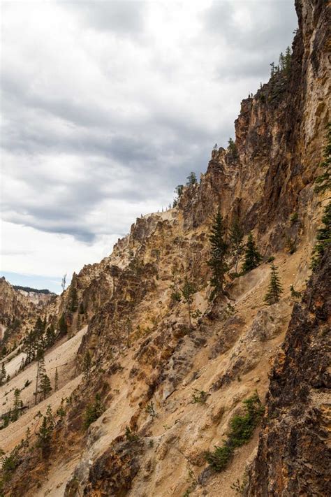 Steep Cliff Walls Of The Grand Canyon Of The Yellowstone Stock Image