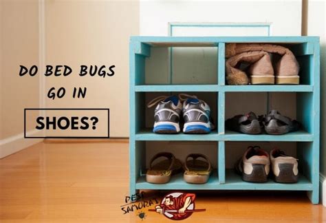 Bed Bugs In Shoes Tips For Prevention And Treatment Pest Samurai