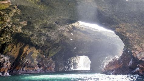 Ballestas Islands And Paracas Reserve Full Day Tour Inca World Peru