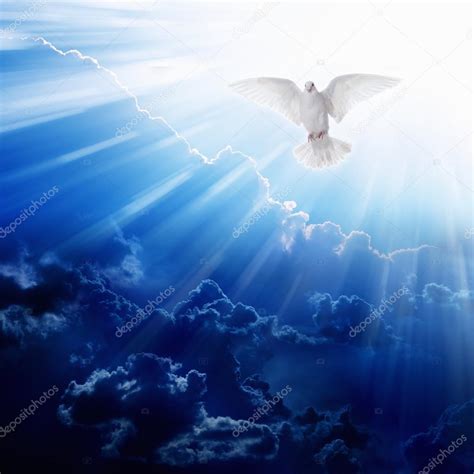 Holy Spirit Bird — Stock Photo © Ig0rzh 89302946