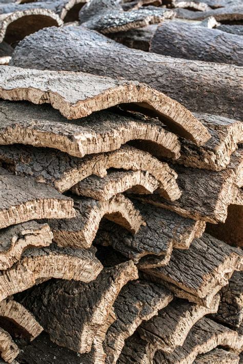Pile Of Bark From Cork Stock Image Colourbox