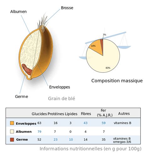 Les Diff Rentes Sortes De Farines Gisou Cuisine