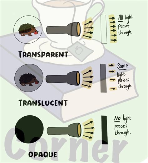 FREE Transparent Translucent Opaque Poster Teaching Resources