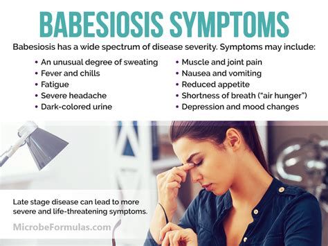 Dermoscent Essential 6 Side Effects - How Do I Know If I Have a Babesia Infection? - Microbe Formulas™