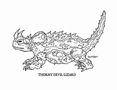 Devil Thorny Coloring Clipart Lizard Drawings Still