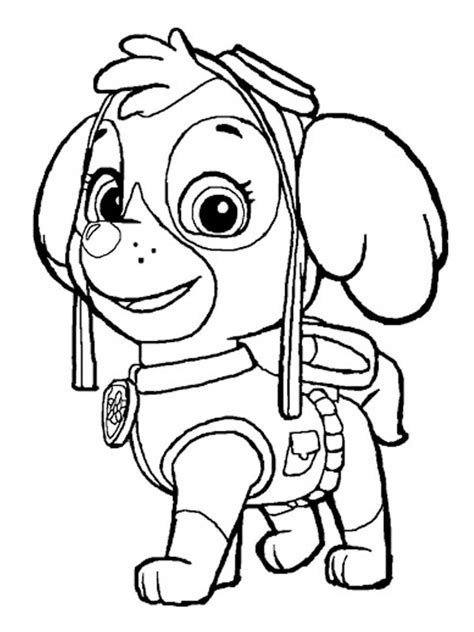 Coloriage Pat Patrouille Stella Et Helicoptere Paw Patrol Coloring