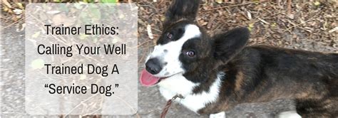 Over 5000+ verified reviews & 65,000+ happy customers. Trainer Ethics: Calling Your Well Trained Dog A "Service ...