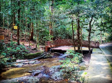 ביקרת ב‪sungai tekala recreation forest‬? Sungai Tekala Recreation Forest Semenyih, Selangor 03-2616 ...